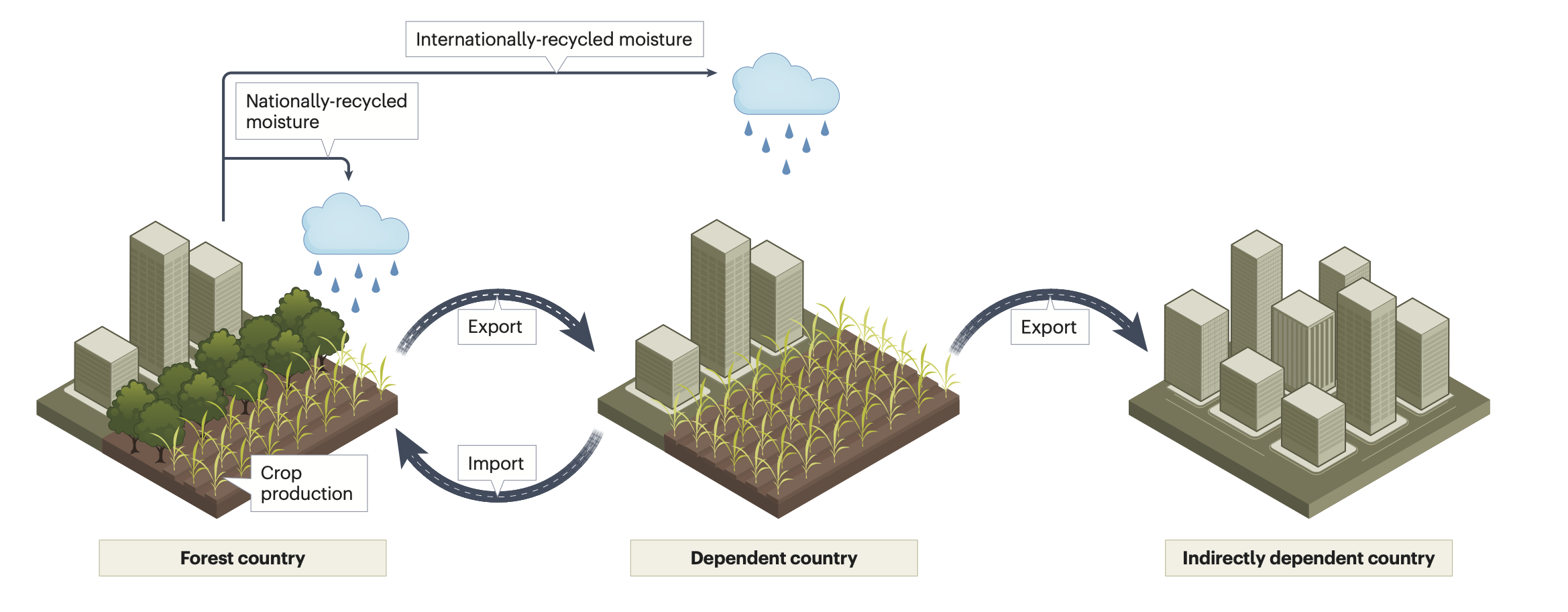 Forests sustain crops both within their own borders and far beyond